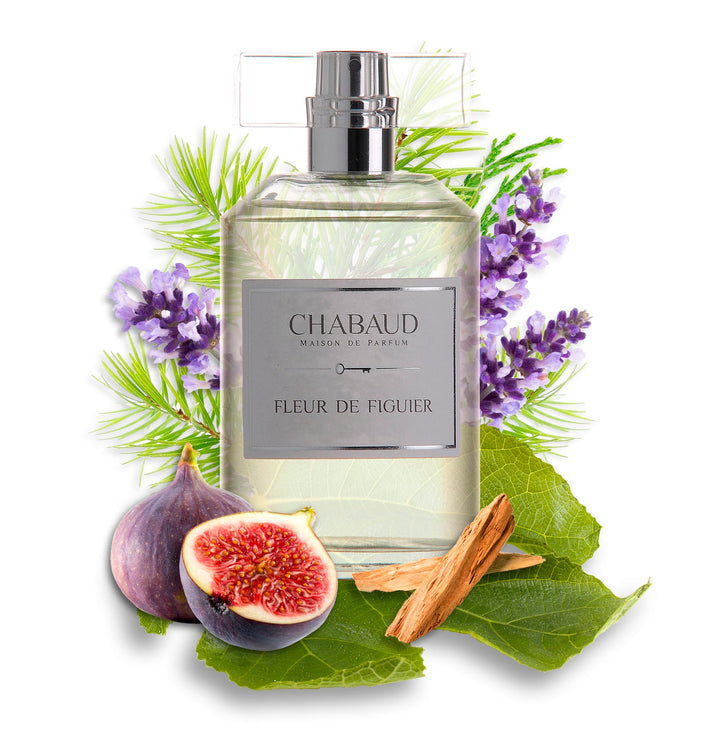 Fleur de Figuier