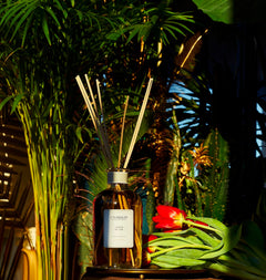 Jardin de Thé